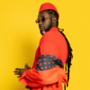 The Wealthiest Jamaican Entertainers of All Time